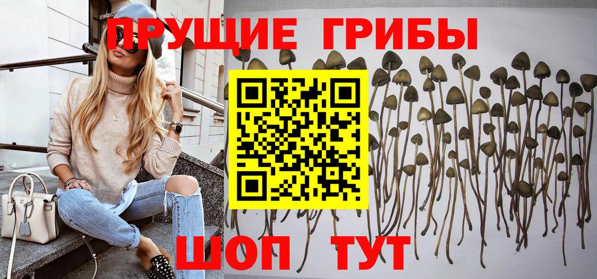 Псилоцибиновые грибы Cubensis  Псилоцибиновые грибы ЛСД  Вход с VPN  Артёмовский 